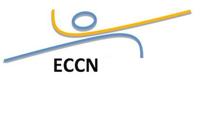 2019 – -8TH-EUROPEAN-CONFERENCE-ON-CLINICAL-NEUROIMAGING-(ECCN)-BRUSSELS